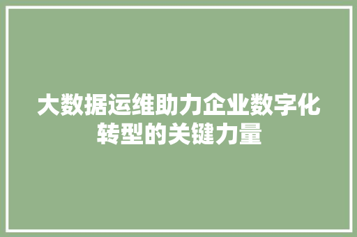大数据运维助力企业数字化转型的关键力量 操作系统 大数据运维助力企业数字化转型的关键力量 操作系统