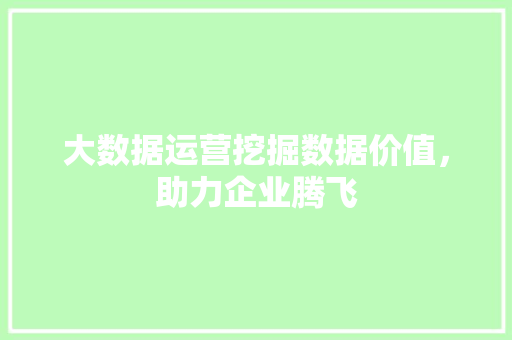 大数据运营挖掘数据价值，助力企业腾飞 网络技术