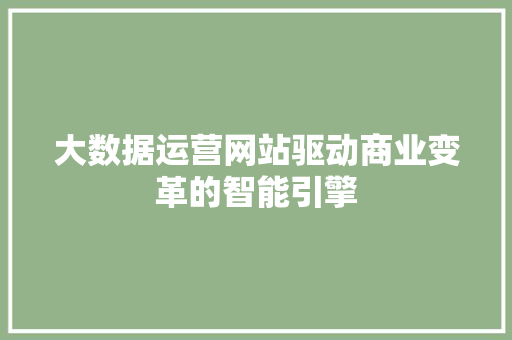 大数据运营网站驱动商业变革的智能引擎