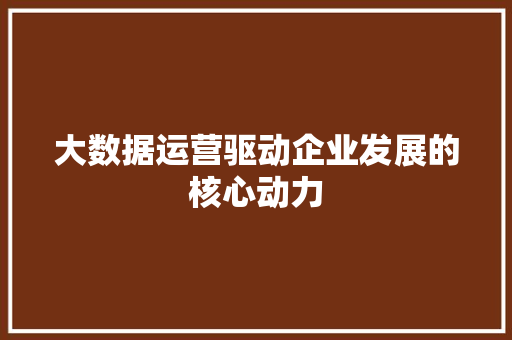 大数据运营驱动企业发展的核心动力