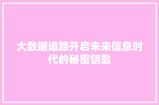 大数据追踪开启未来信息时代的秘密钥匙 操作系统