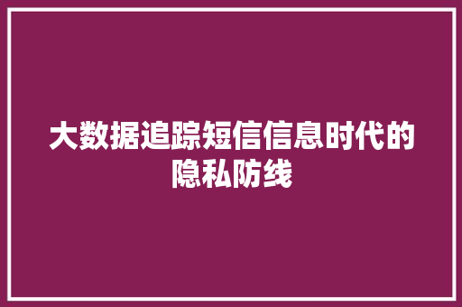 大数据追踪短信信息时代的隐私防线