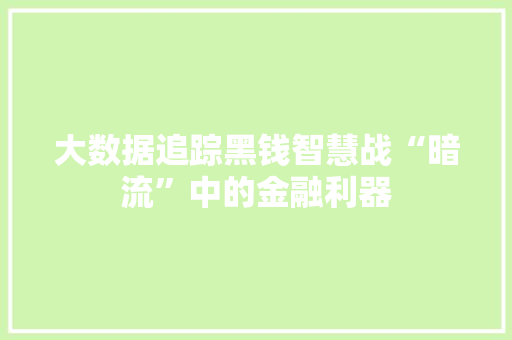 大数据追踪黑钱智慧战“暗流”中的金融利器 网络技术