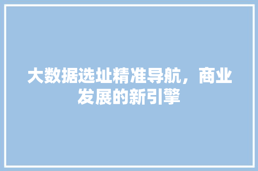 大数据选址精准导航，商业发展的新引擎
