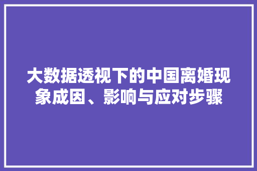 大数据透视下的中国离婚现象成因、影响与应对步骤