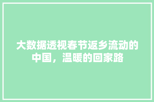 大数据透视春节返乡流动的中国，温暖的回家路