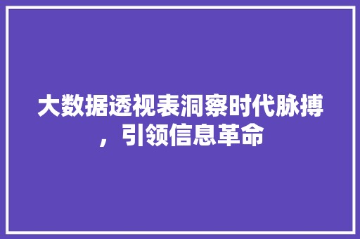 大数据透视表洞察时代脉搏,引领信息革命 大数据透视表洞察时代脉搏,引领信息革命