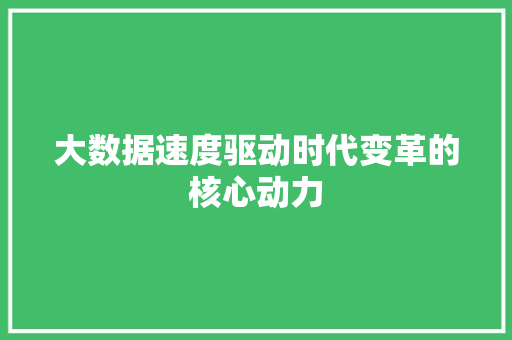 大数据速度驱动时代变革的核心动力 大数据速度驱动时代变革的核心动力
