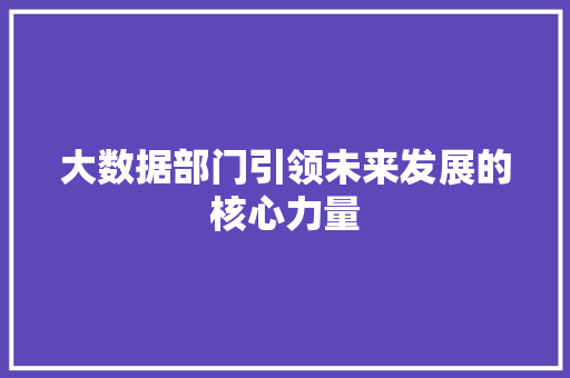 大数据部门引领未来发展的核心力量