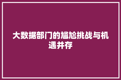大数据部门的尴尬挑战与机遇并存