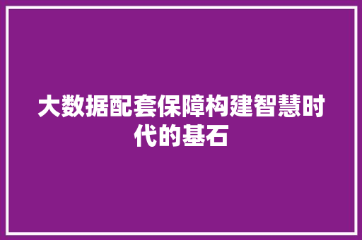 大数据配套保障构建智慧时代的基石