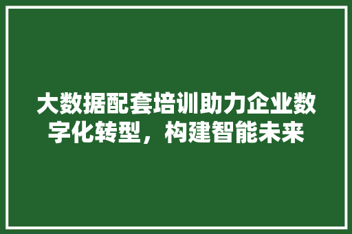 大数据配套培训助力企业数字化转型，构建智能未来