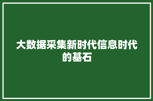 大数据采集新时代信息时代的基石