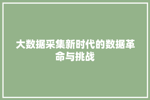 大数据采集新时代的数据革命与挑战