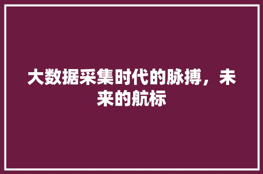 大数据采集时代的脉搏，未来的航标