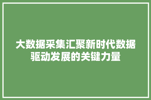 大数据采集汇聚新时代数据驱动发展的关键力量 大数据采集汇聚新时代数据驱动发展的关键力量