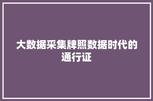 大数据采集牌照数据时代的通行证 大数据采集牌照数据时代的通行证