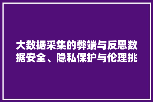 大数据采集的弊端与反思数据安全、隐私保护与伦理挑战