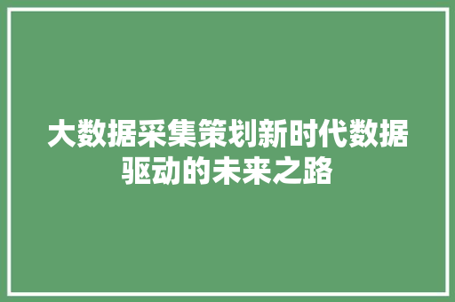 大数据采集策划新时代数据驱动的未来之路