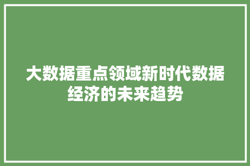 大数据重点领域新时代数据经济的未来趋势