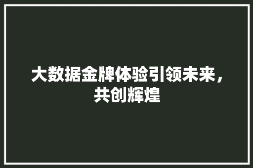 大数据金牌体验引领未来，共创辉煌