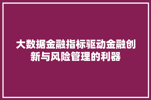大数据金融指标驱动金融创新与风险管理的利器