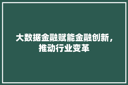 大数据金融赋能金融创新，推动行业变革