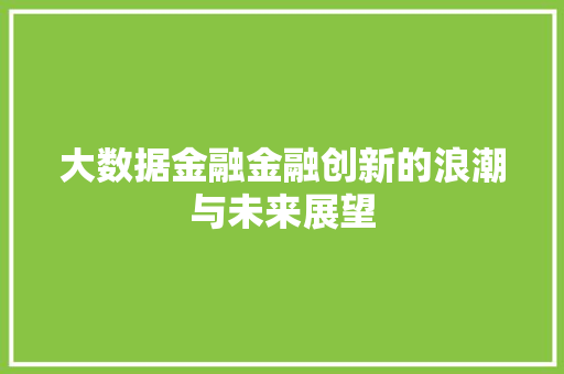 大数据金融金融创新的浪潮与未来展望