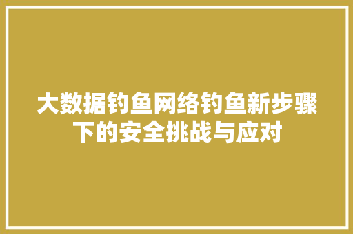 大数据钓鱼网络钓鱼新步骤下的安全挑战与应对