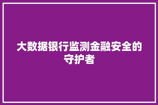 大数据银行监测金融安全的守护者