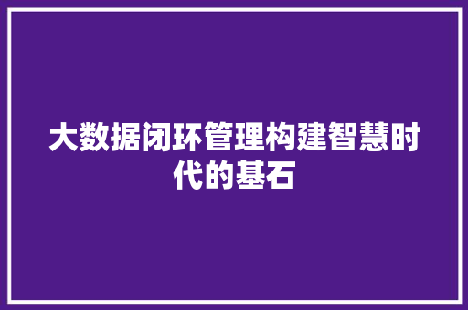 大数据闭环管理构建智慧时代的基石 大数据闭环管理构建智慧时代的基石