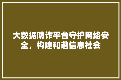 大数据防诈平台守护网络安全，构建和谐信息社会