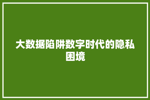 大数据陷阱数字时代的隐私困境
