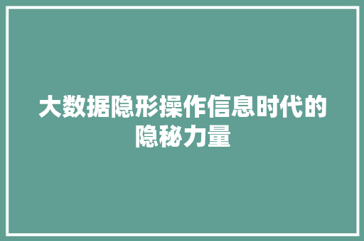 大数据隐形操作信息时代的隐秘力量