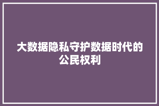 大数据隐私守护数据时代的公民权利