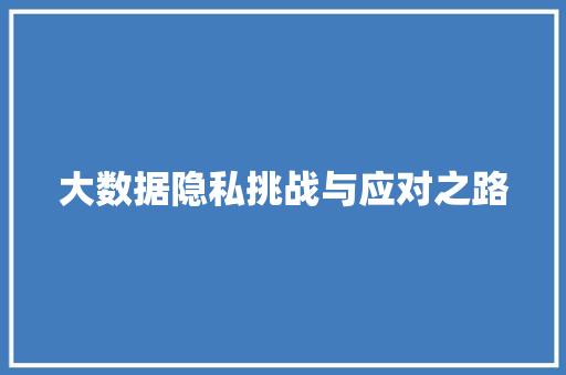 大数据隐私挑战与应对之路
