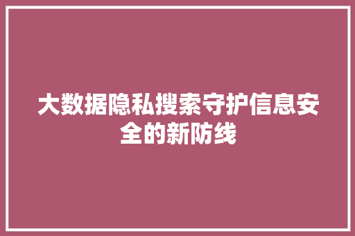 大数据隐私搜索守护信息安全的新防线