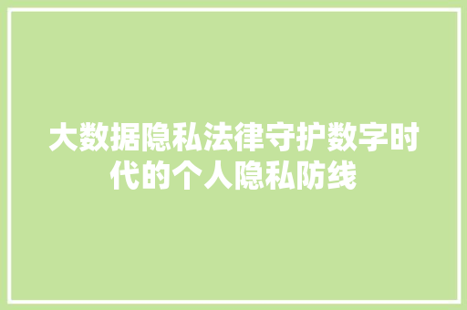 大数据隐私法律守护数字时代的个人隐私防线