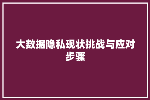 大数据隐私现状挑战与应对步骤
