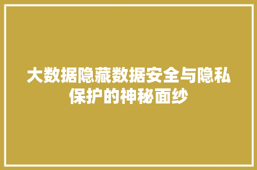 大数据隐藏数据安全与隐私保护的神秘面纱