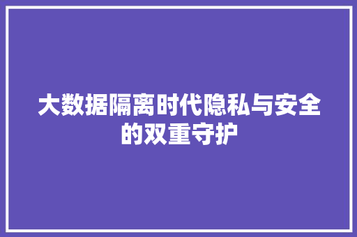 大数据隔离时代隐私与安全的双重守护