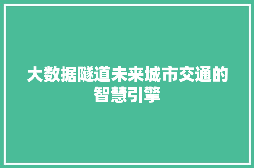 大数据隧道未来城市交通的智慧引擎