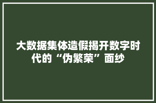 大数据集体造假揭开数字时代的“伪繁荣”面纱