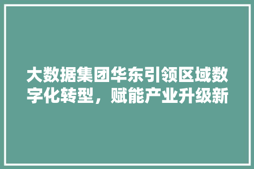 大数据集团华东引领区域数字化转型，赋能产业升级新篇章