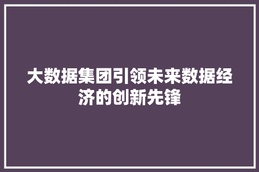 大数据集团引领未来数据经济的创新先锋