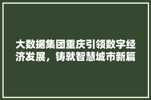 大数据集团重庆引领数字经济发展，铸就智慧城市新篇章