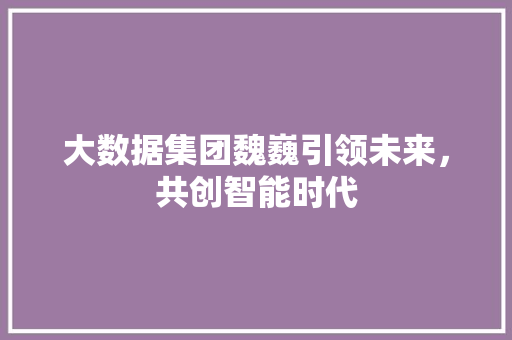 大数据集团魏巍引领未来，共创智能时代