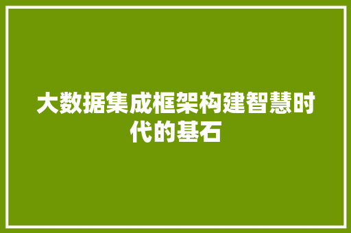 大数据集成框架构建智慧时代的基石