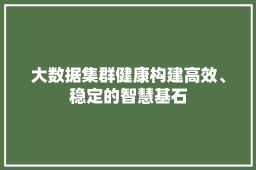 大数据集群健康构建高效、稳定的智慧基石