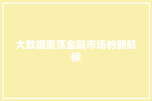 大数据震荡金融市场的新航标